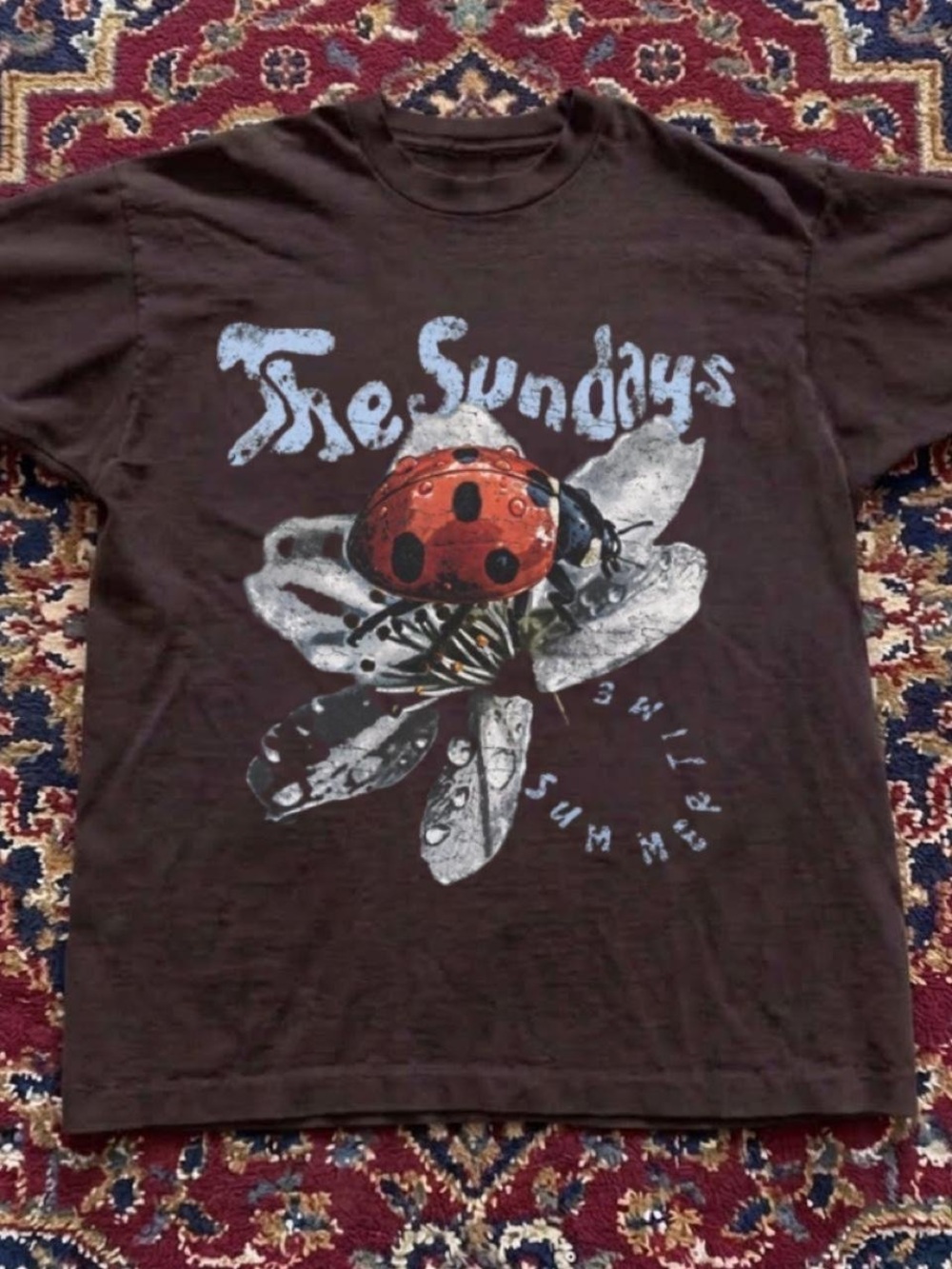 Gildan Brown Short Sleeve Tee with Red Ladybug and Light Blue Script